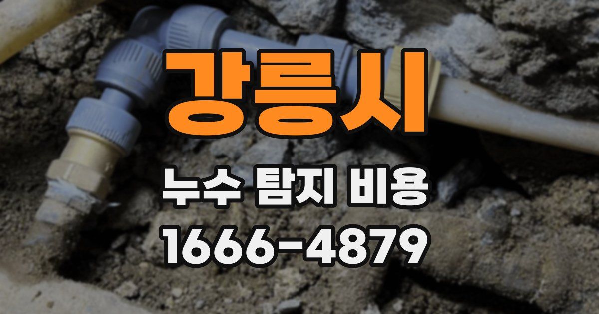 강릉시 누수 탐지 비용