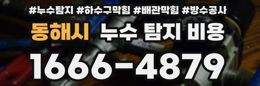 동해시 누수 탐지 비용