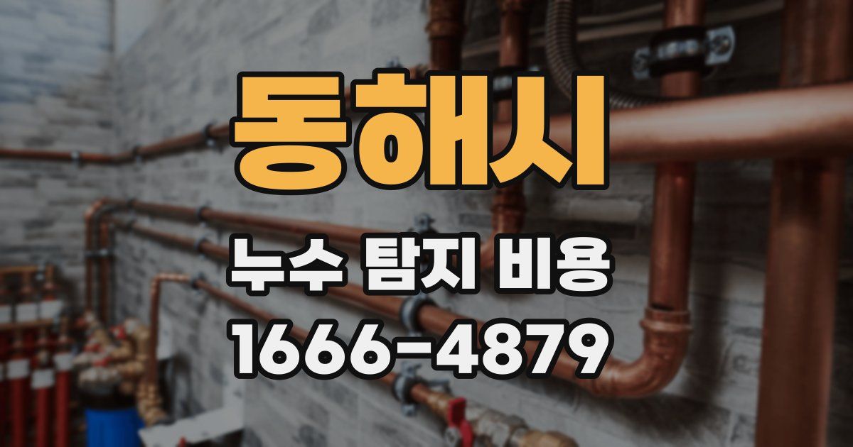 동해시 누수 탐지 비용
