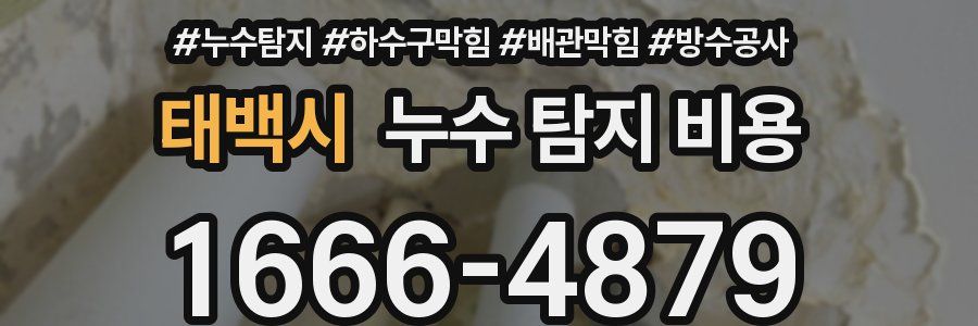 태백시 누수 탐지 비용