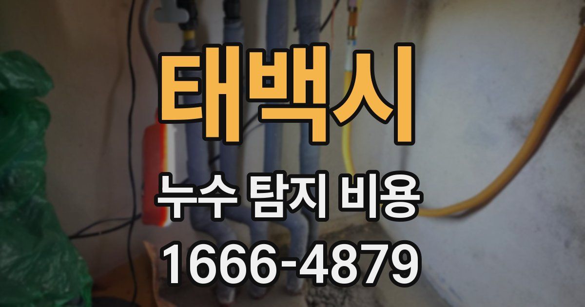 태백시 누수 탐지 비용