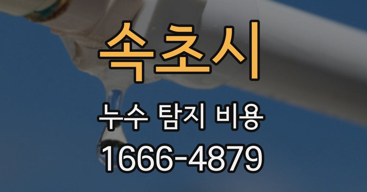 속초시 누수 탐지 비용