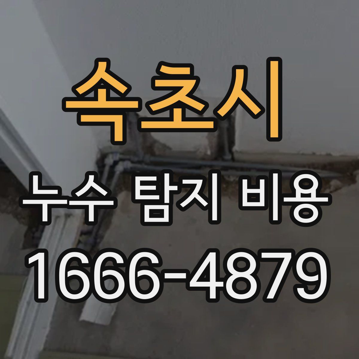 속초시 누수 탐지 비용