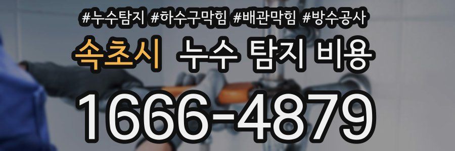 속초시 누수 탐지 비용