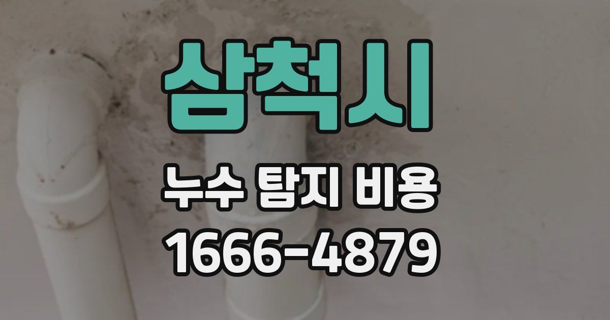 삼척시 누수 탐지 비용