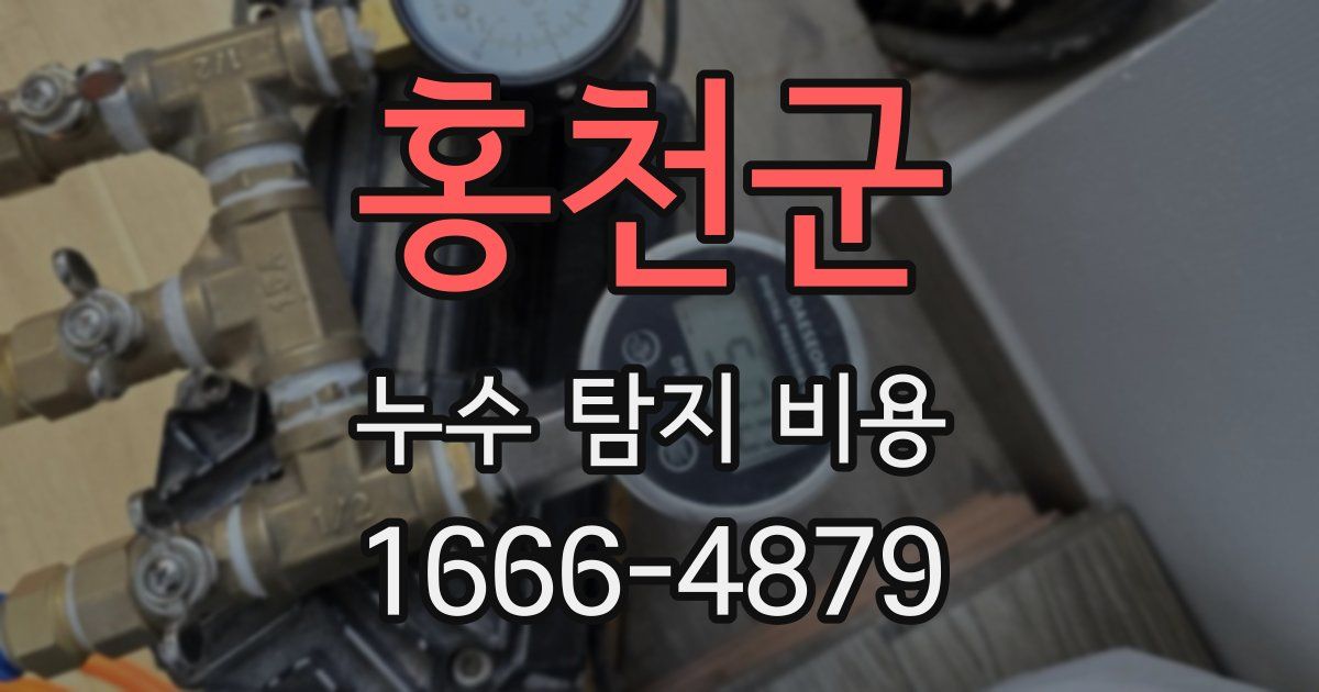 홍천군 누수 탐지 비용