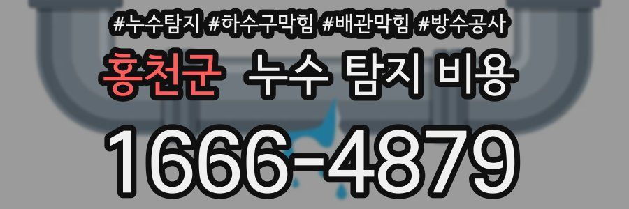 홍천군 누수 탐지 비용