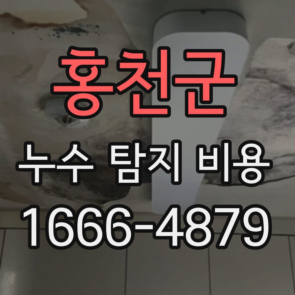 홍천군 누수 탐지 비용