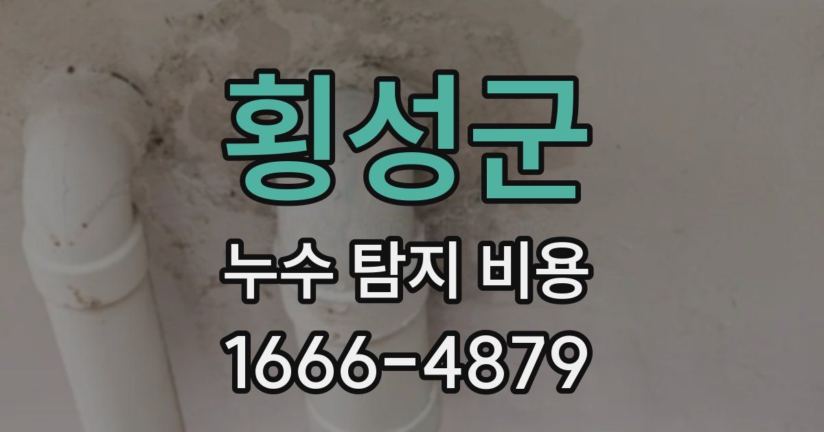 횡성군 누수 탐지 비용