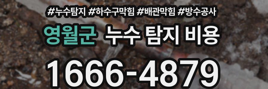영월군 누수 탐지 비용