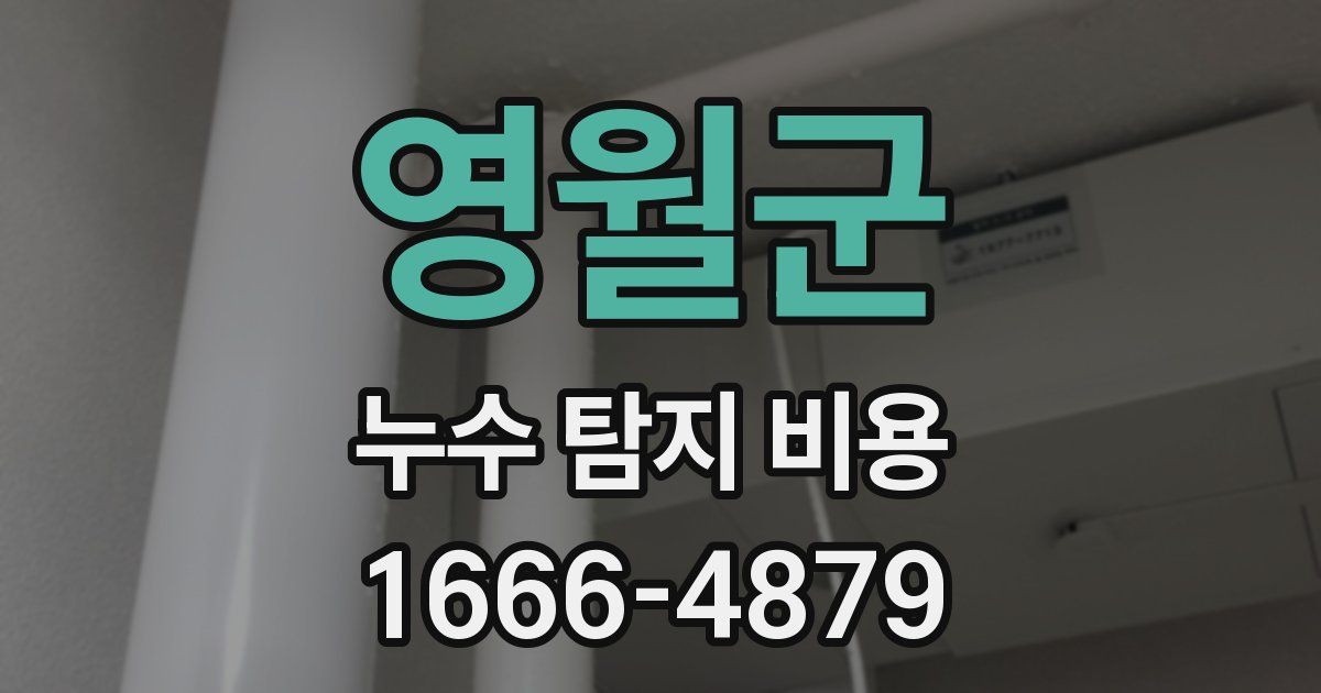 영월군 누수 탐지 비용