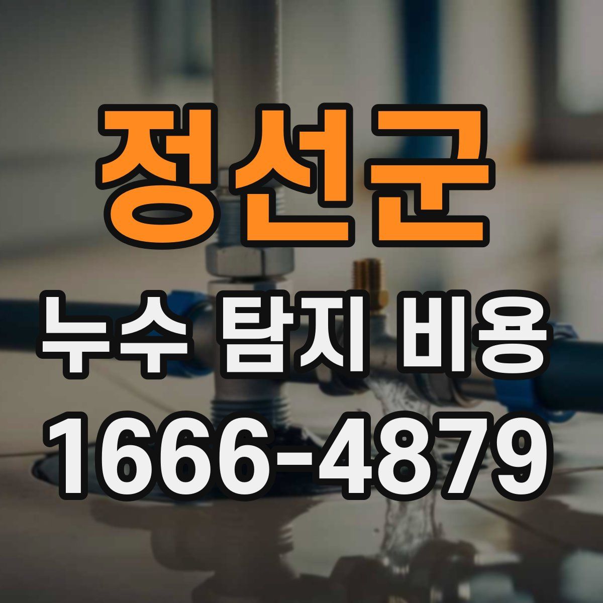 정선군 누수 탐지 비용