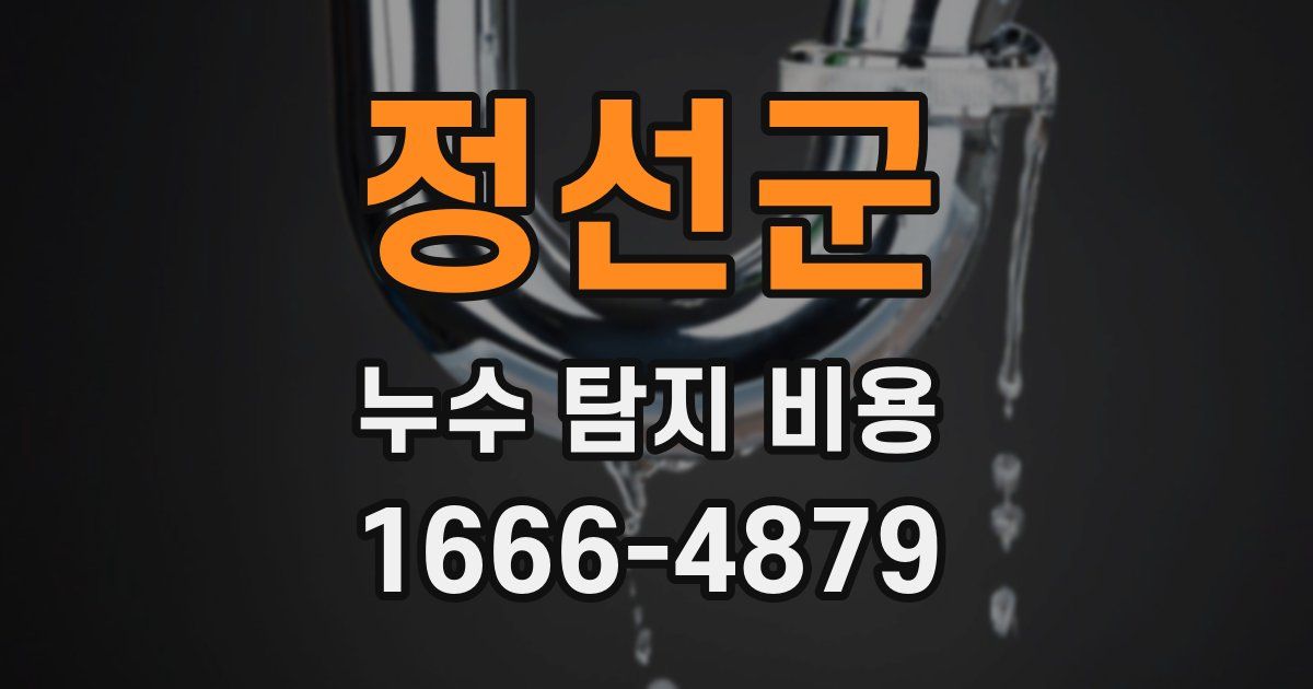 정선군 누수 탐지 비용