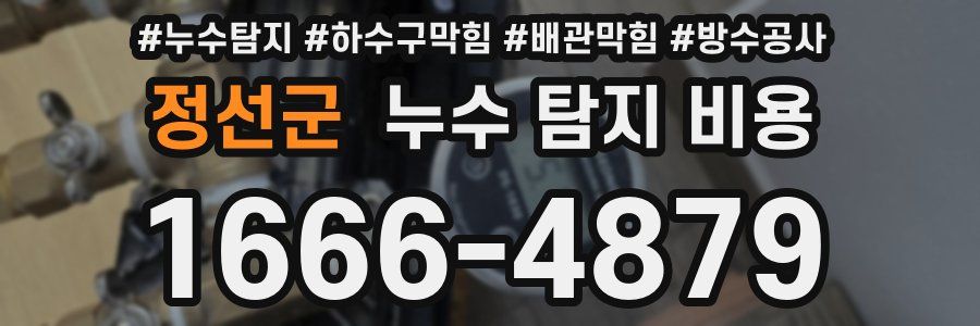 정선군 누수 탐지 비용