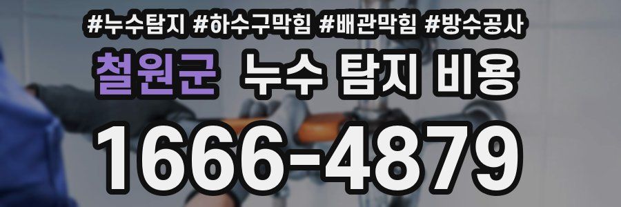 철원군 누수 탐지 비용
