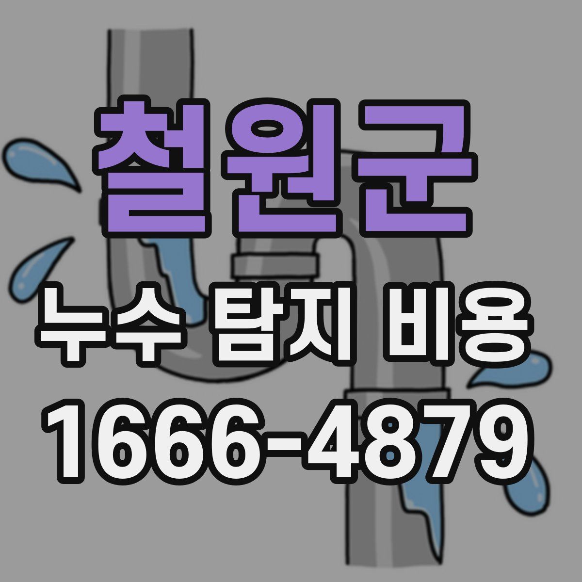 철원군 누수 탐지 비용