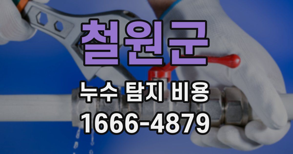 철원군 누수 탐지 비용