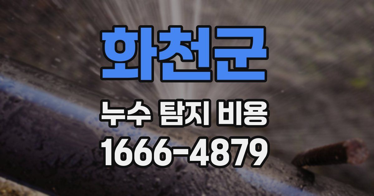 화천군 누수 탐지 비용