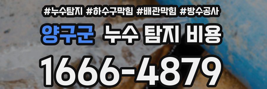 양구군 누수 탐지 비용