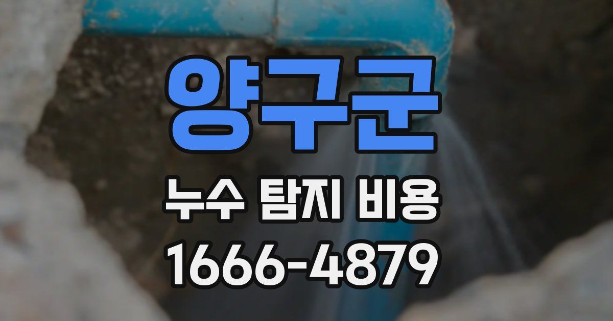 양구군 누수 탐지 비용