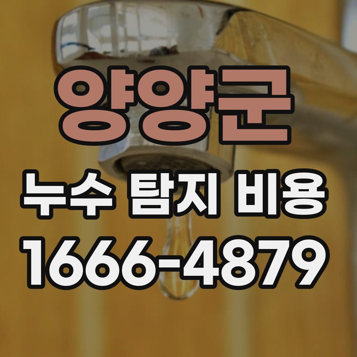 양양군 누수 탐지 비용