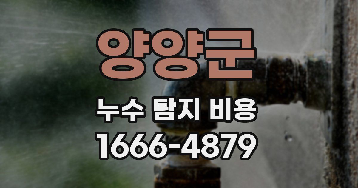 양양군 누수 탐지 비용