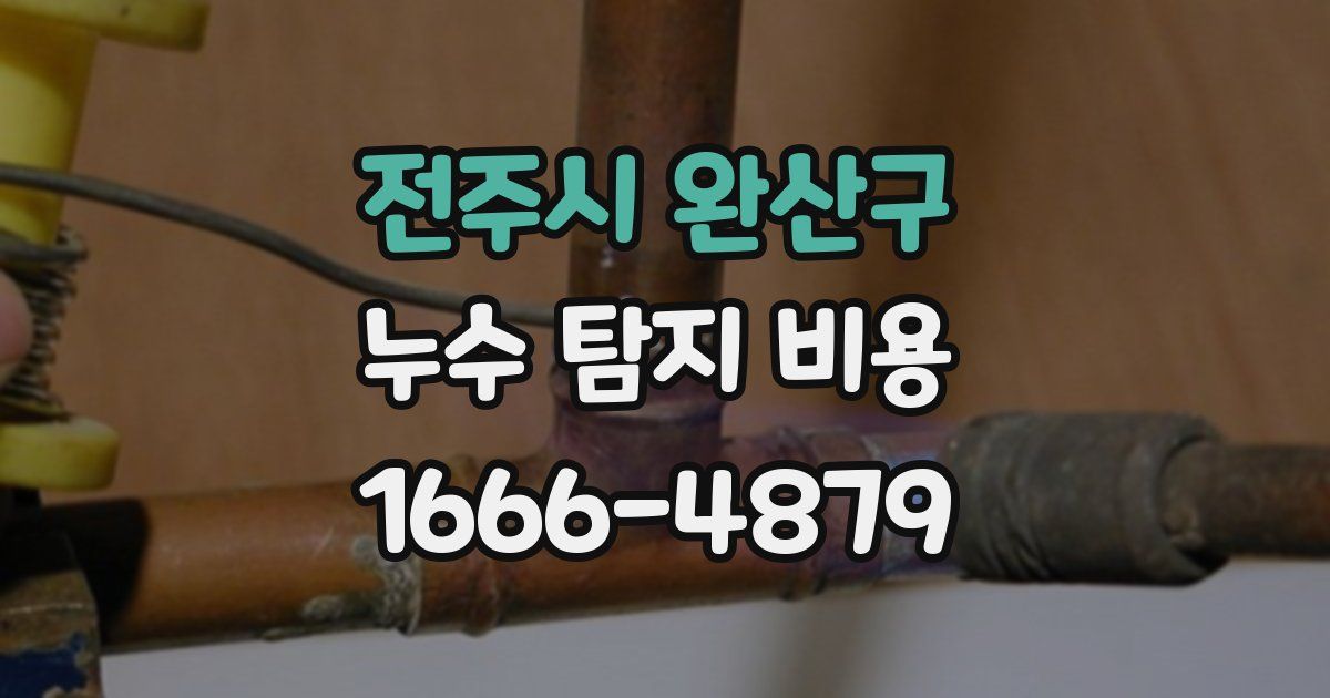 전주시 완산구 누수 탐지 비용