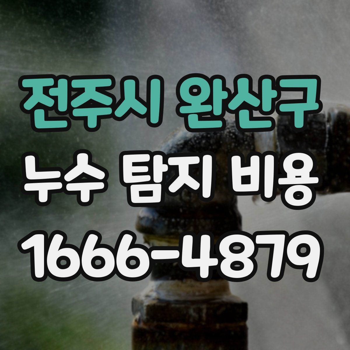 전주시 완산구 누수 탐지 비용