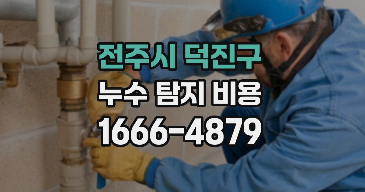 전주시 덕진구 누수 탐지 비용