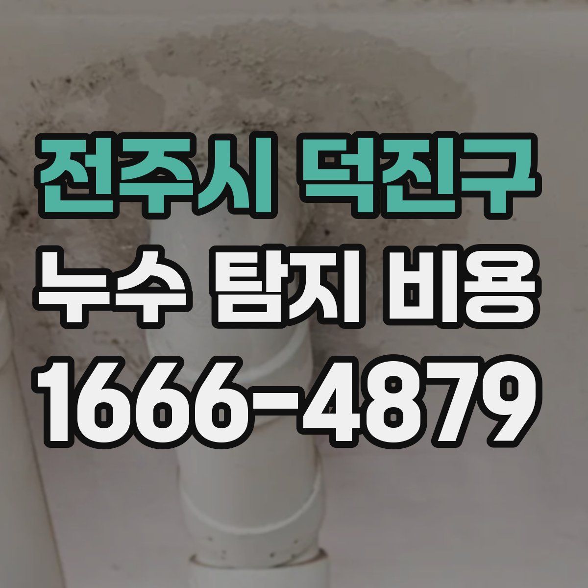 전주시 덕진구 누수 탐지 비용