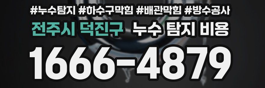 전주시 덕진구 누수 탐지 비용