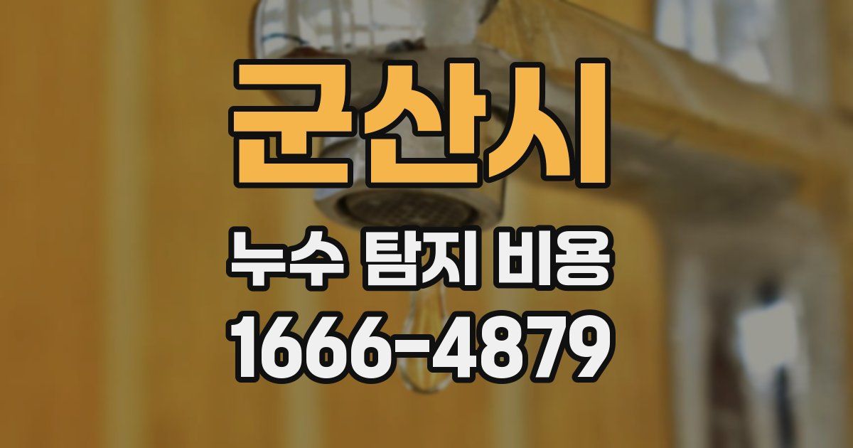 군산시 누수 탐지 비용