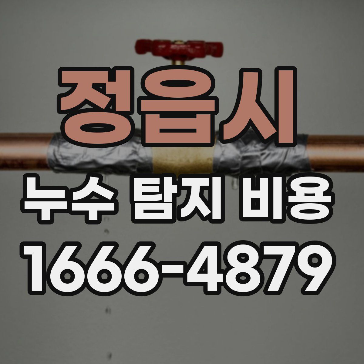 정읍시 누수 탐지 비용