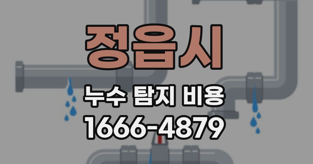 정읍시 누수 탐지 비용