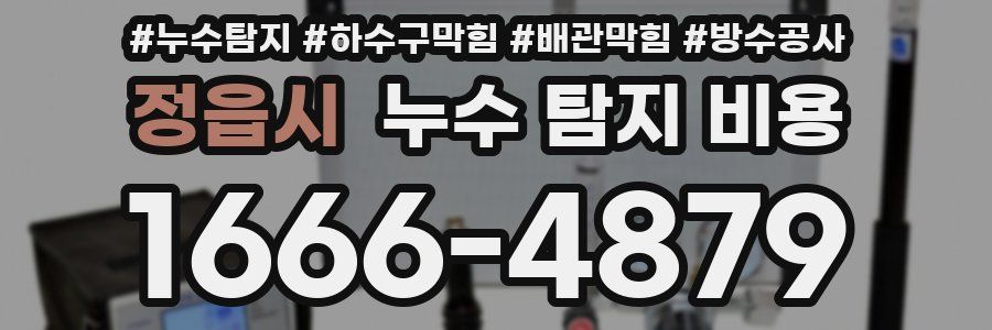 정읍시 누수 탐지 비용