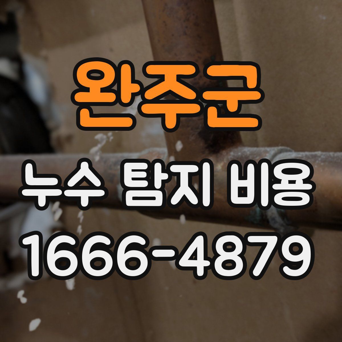 완주군 누수 탐지 비용