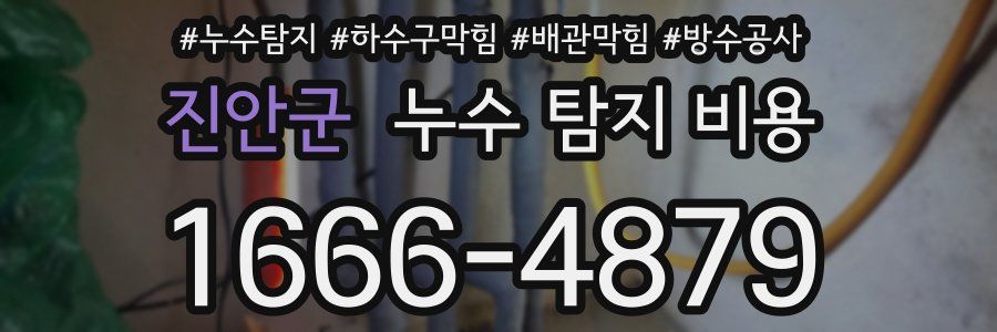 진안군 누수 탐지 비용