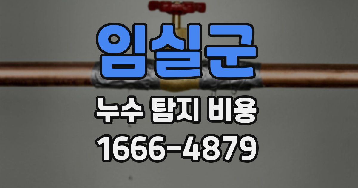 임실군 누수 탐지 비용