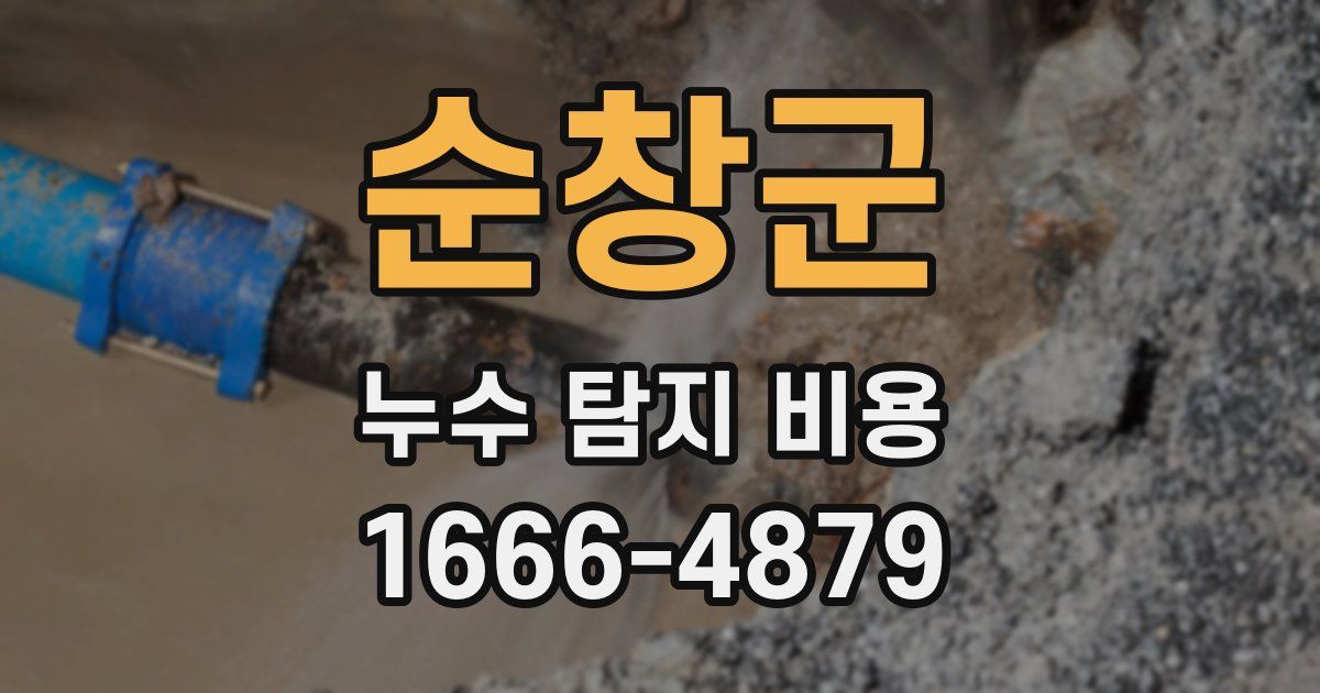 순창군 누수 탐지 비용