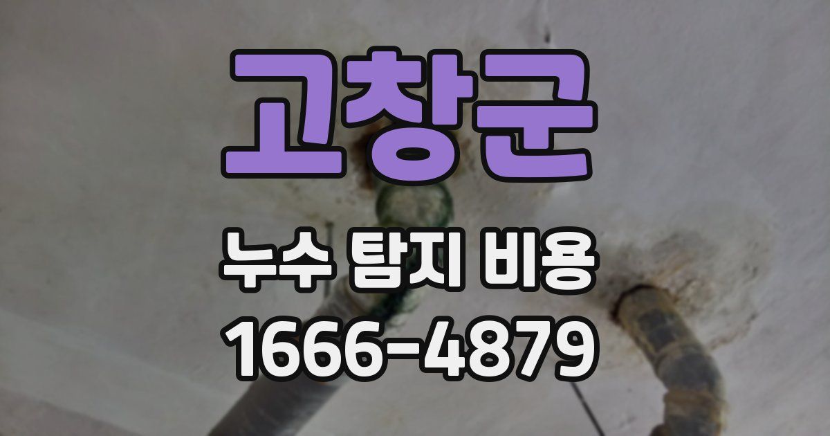 고창군 누수 탐지 비용