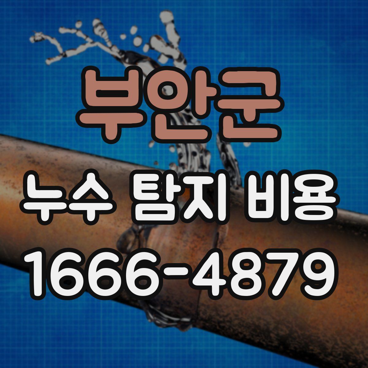 부안군 누수 탐지 비용