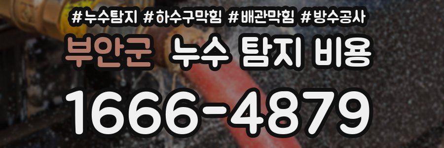 부안군 누수 탐지 비용