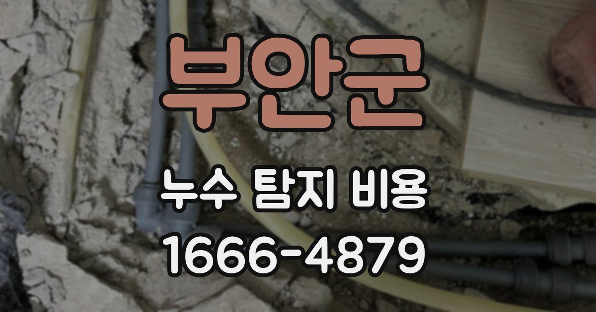 부안군 누수 탐지 비용