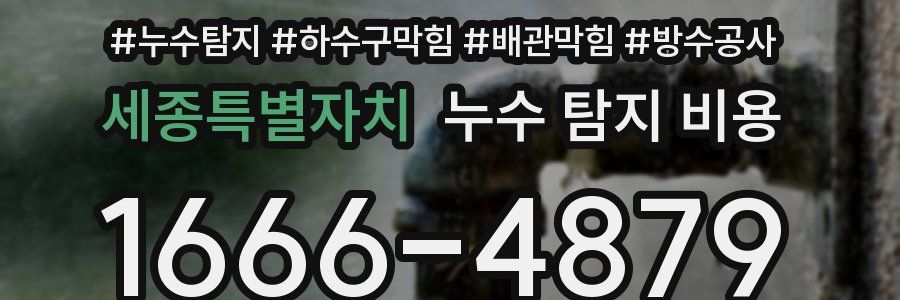 세종특별자치 누수 탐지 비용