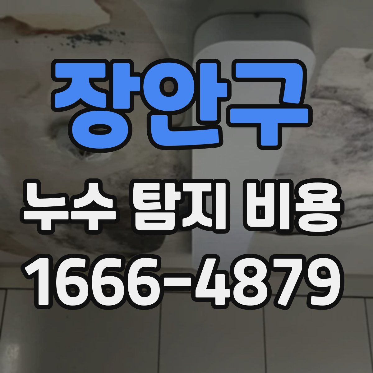 장안구 누수 탐지 비용