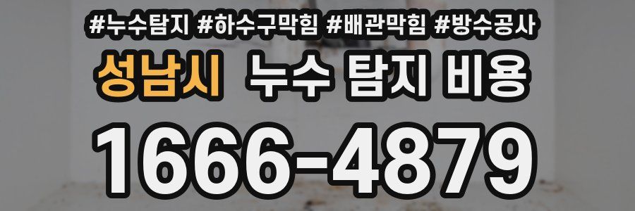 성남시 누수 탐지 비용