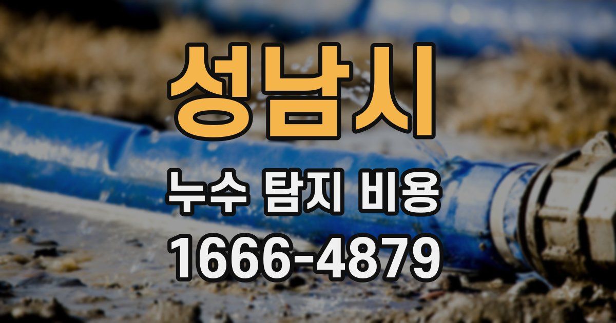 성남시 누수 탐지 비용