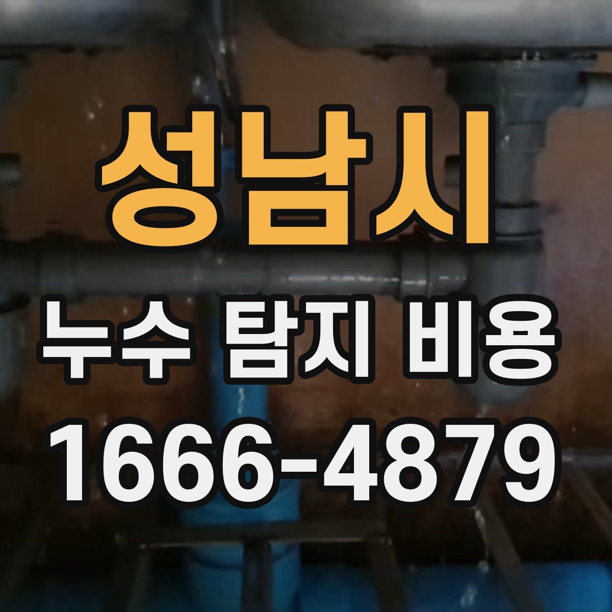 성남시 누수 탐지 비용