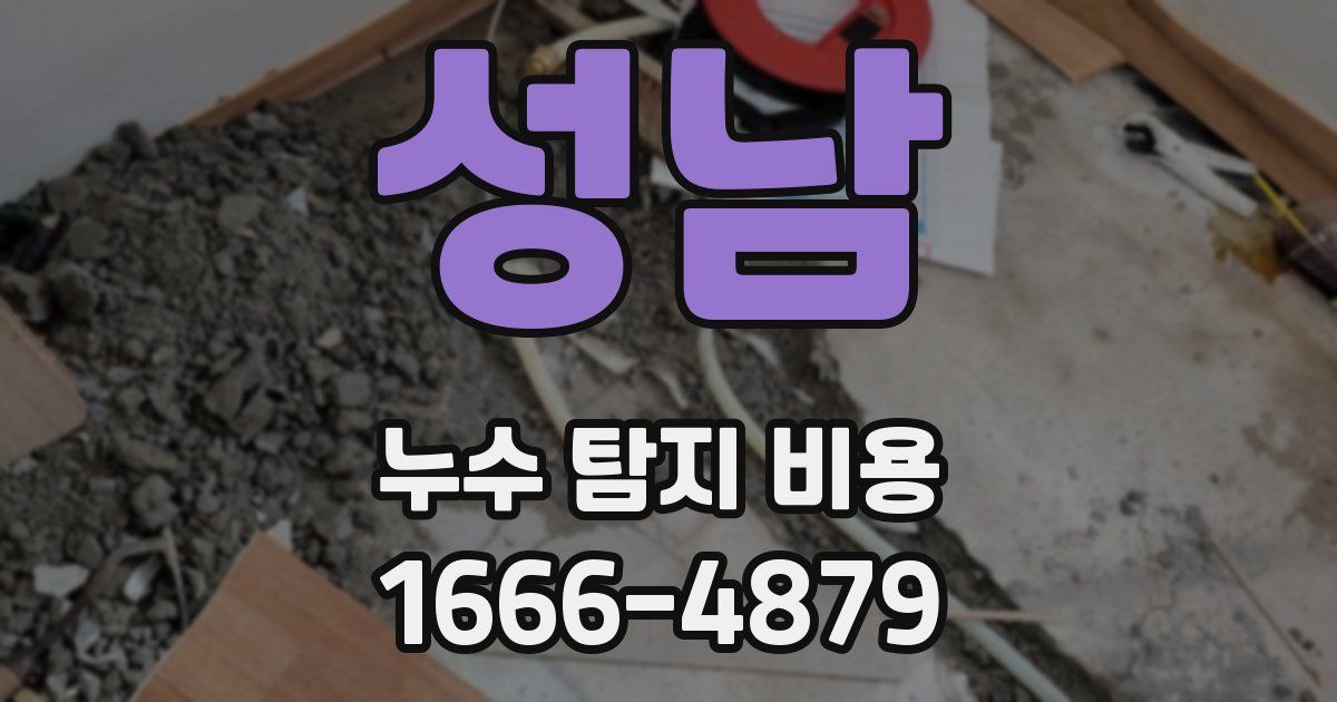 성남 누수 탐지 비용