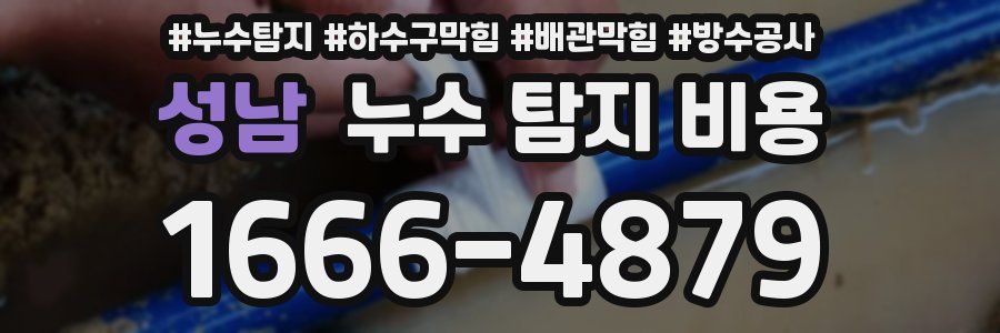 성남 누수 탐지 비용